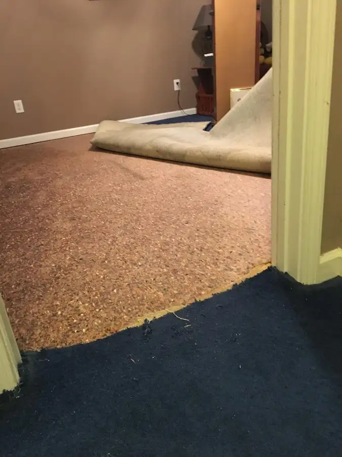 Carpet pad removal revealing water damage during Drying & Dehumidification in Merrydale