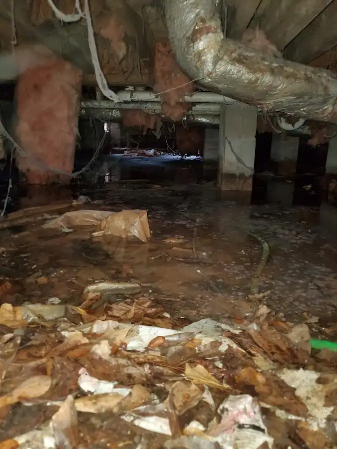 Crawl space flood assessment for Commercial Water Damage Restoration in Merrydale